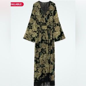 Zara FRINGED VELVET DRESS